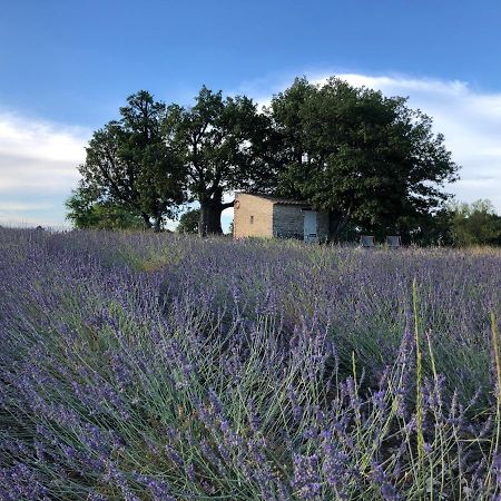 Villa Cabanon Du Berger Saignon Esterno foto