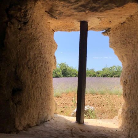 Villa Cabanon Du Berger Saignon Esterno foto