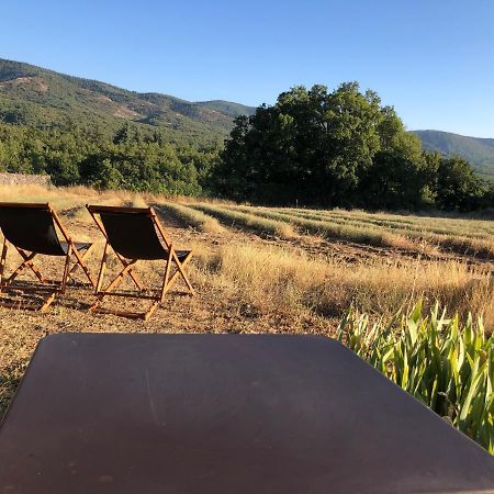 Villa Cabanon Du Berger Saignon Esterno foto