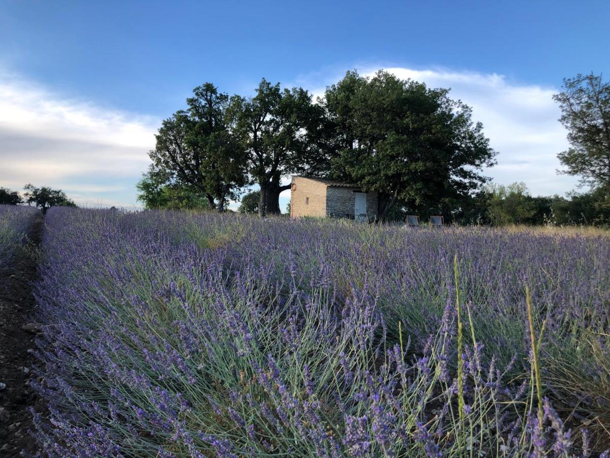 Villa Cabanon Du Berger Saignon Esterno foto