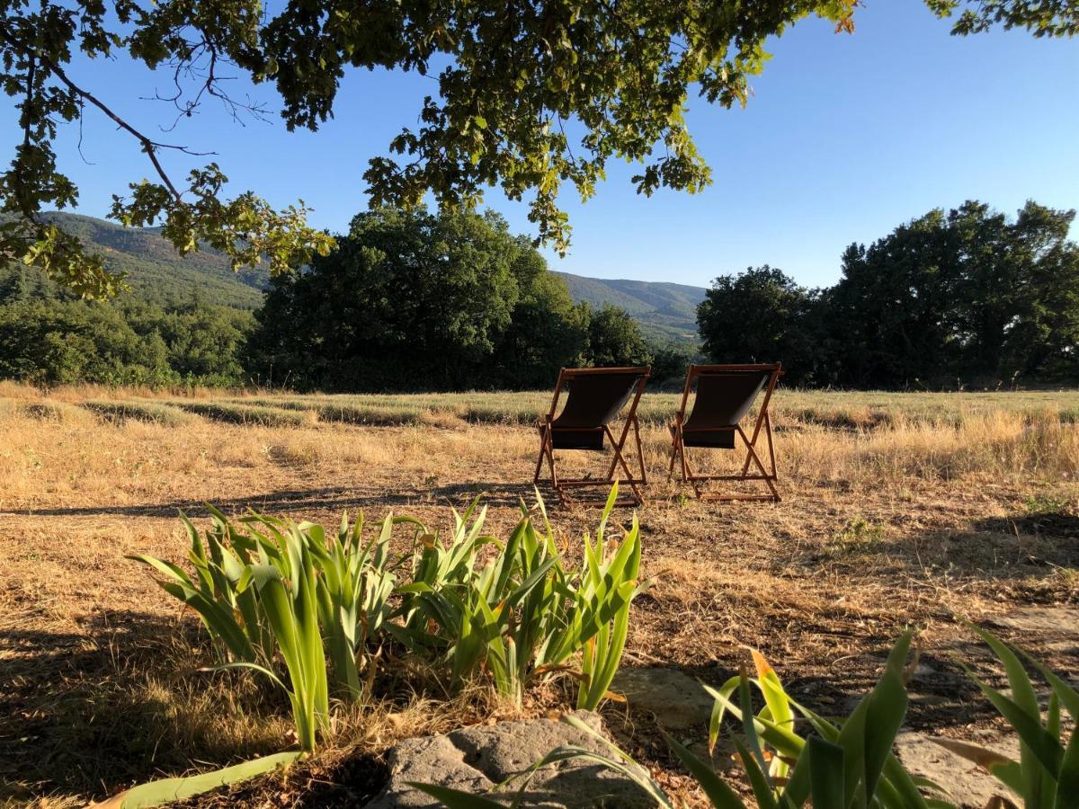 Villa Cabanon Du Berger Saignon Esterno foto